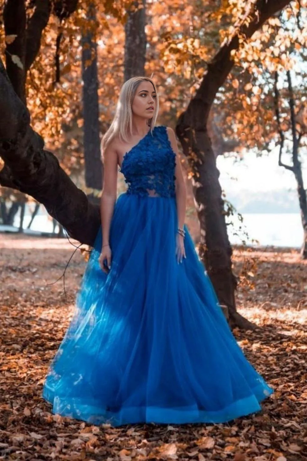 A Line One Shoulder Royal Blue Long evening gown Prom Dress with Appliques